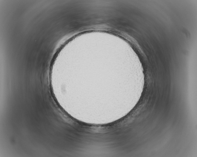 X0000112761176200910011209