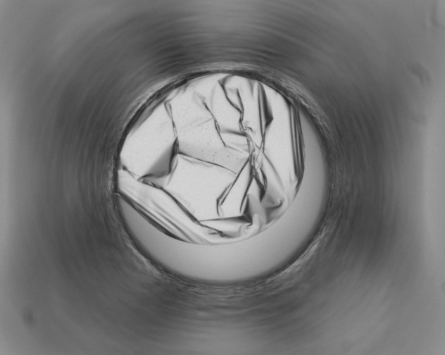 X0000112761177200910011209