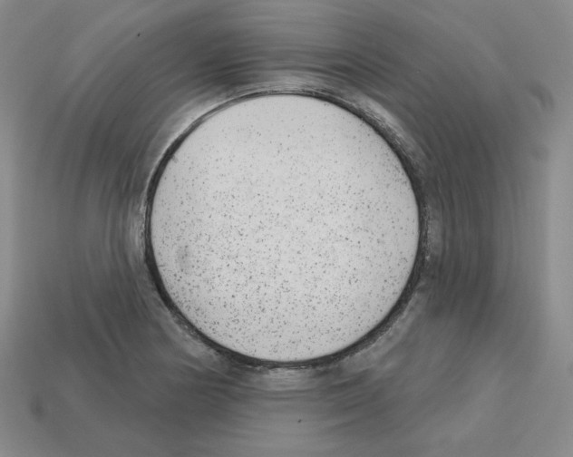 X0000112761178200910011209