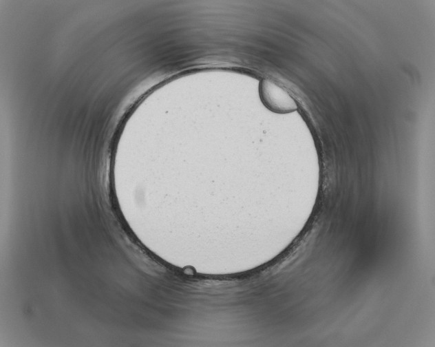 X0000112761179200910011209