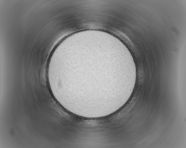 X0000112761182200910011209
