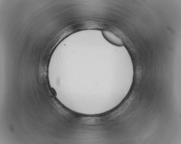 X0000112761185200910011209