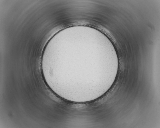 X0000112761186200910011209