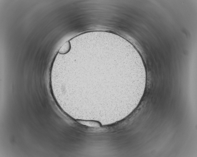 X0000112761187200910011209