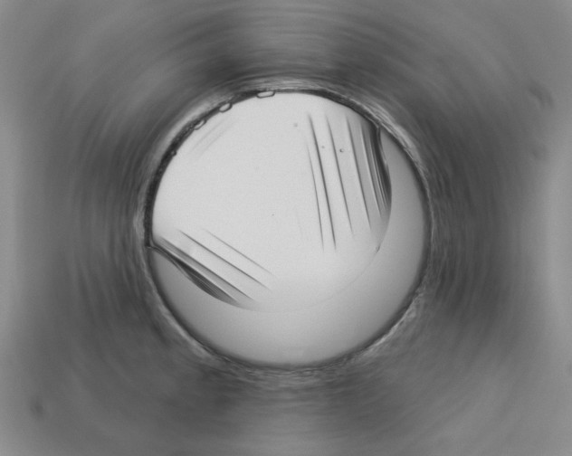 X0000112761189200910011209