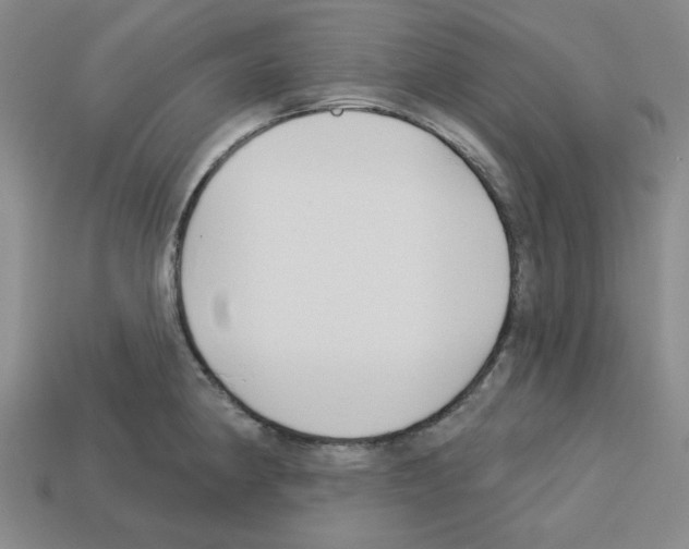 X0000112761190200910011209