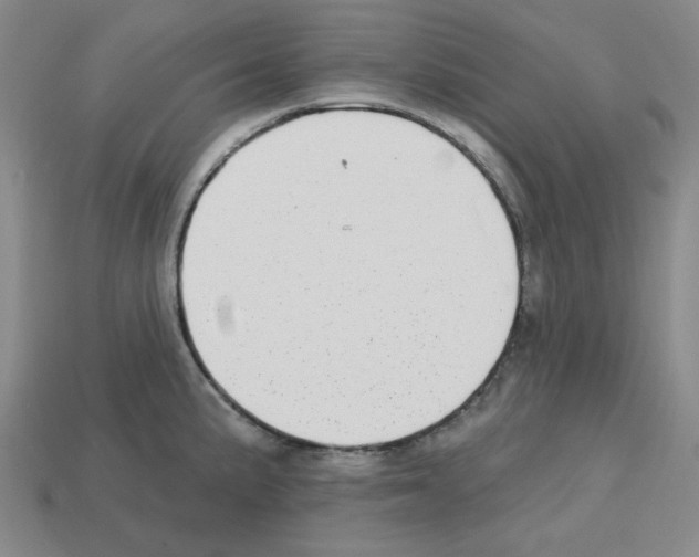 X0000112761191200910011209