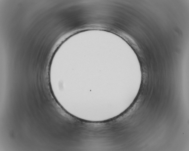 X0000112761192200910011209