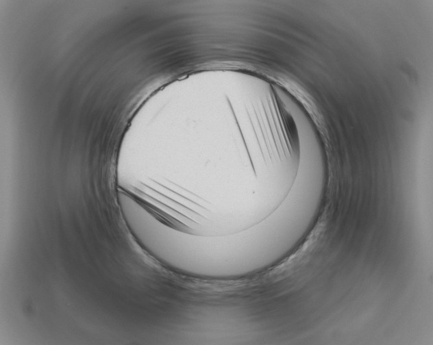X0000112761193200910011209