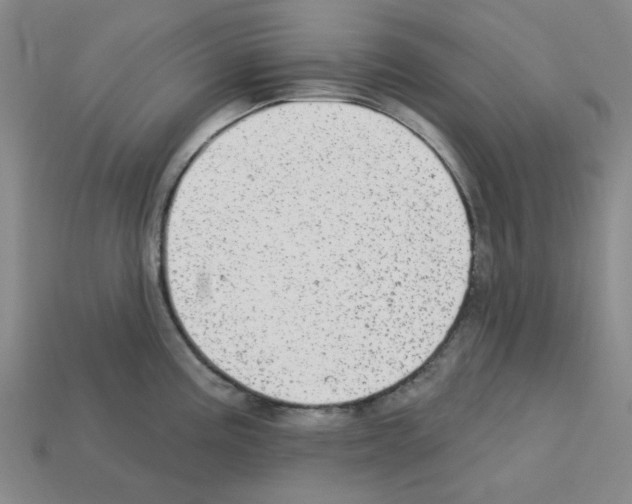 X0000112761195200910011209