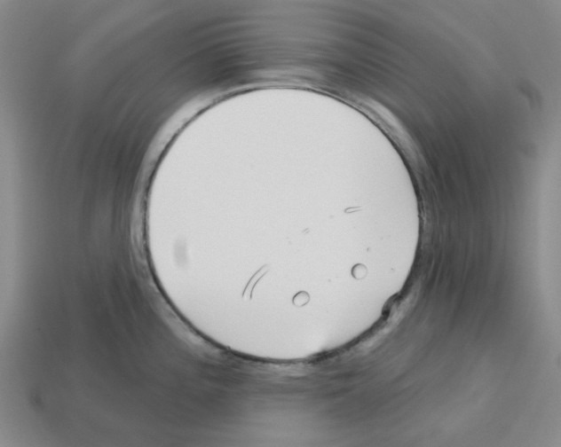 X0000112761196200910011209