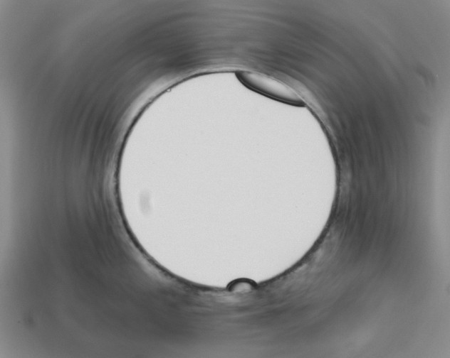 X0000112761197200910011209