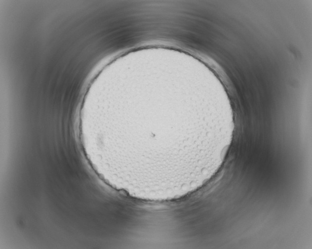 X0000112761199200910011209