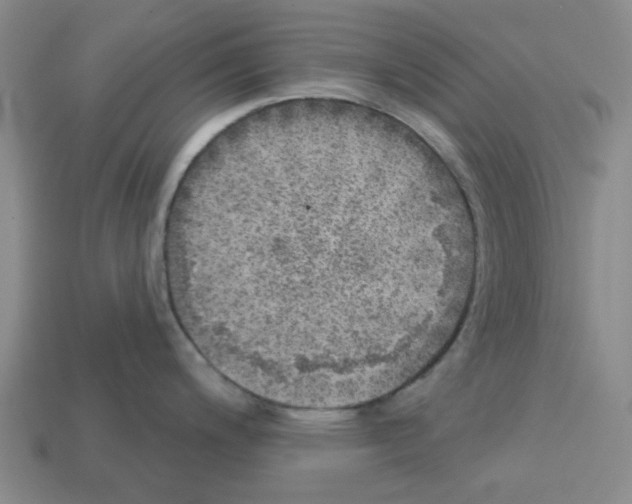 X0000112761200200910011209
