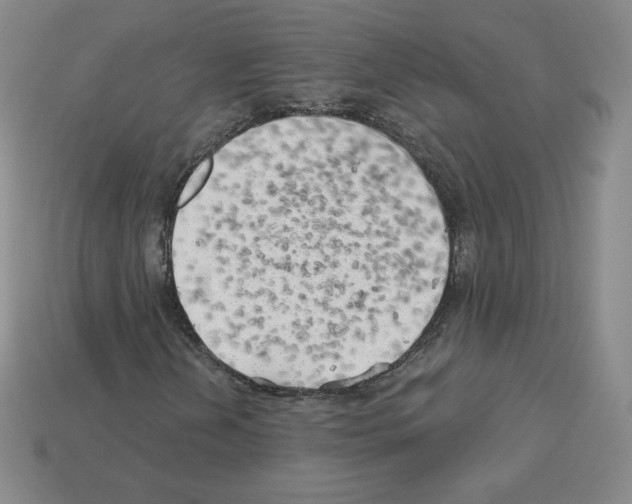 X0000112761202200910011208