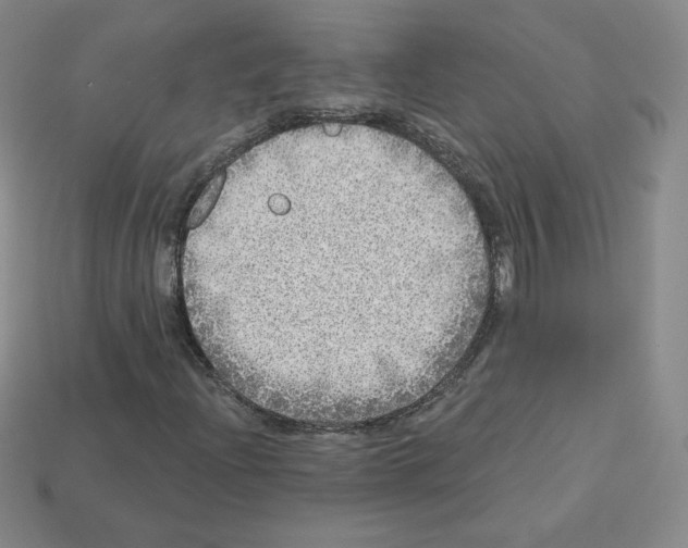 X0000112761204200910011208