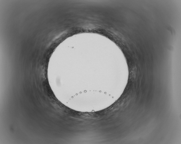 X0000112761205200910011208