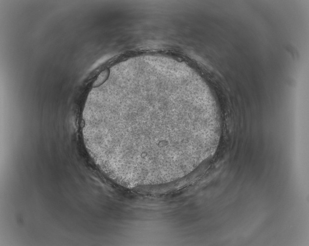 X0000112761206200910011208
