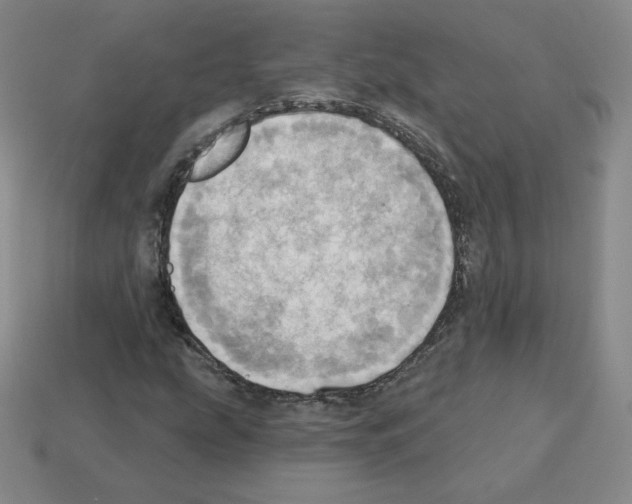 X0000112761207200910011208