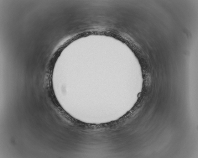 X0000112761208200910011208