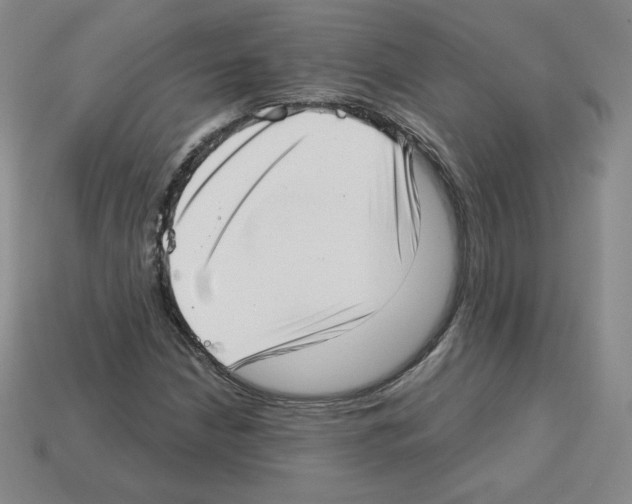 X0000112761210200910011208