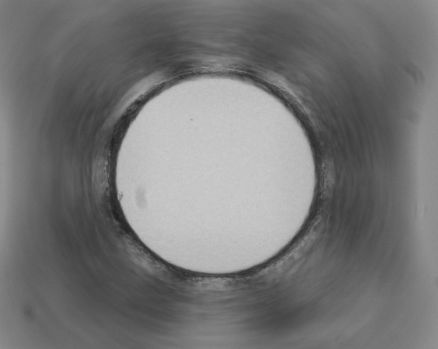 X0000112761211200910011208