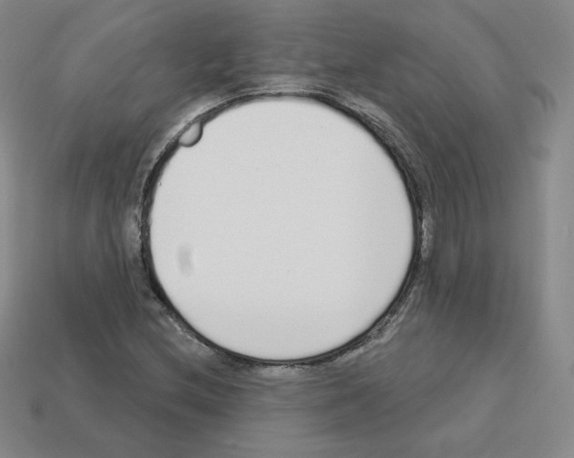 X0000112761212200910011208