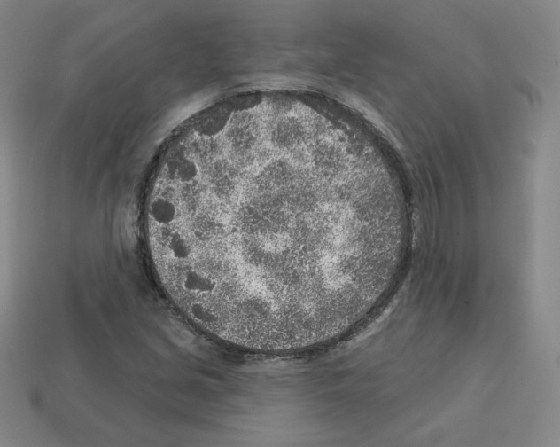 X0000112761213200910011208