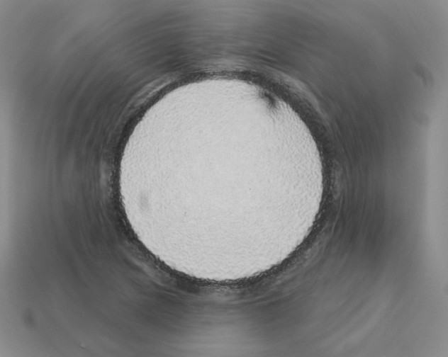 X0000112761217200910011208