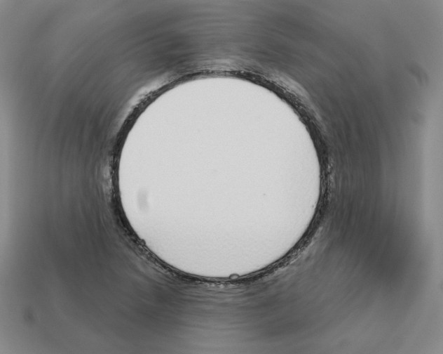 X0000112761218200910011208