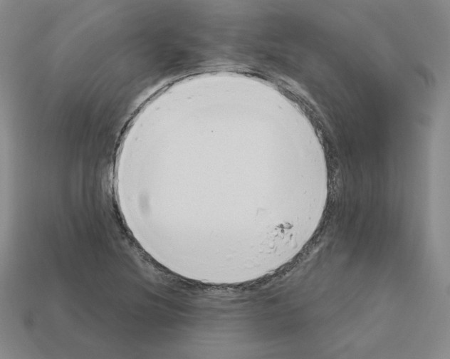 X0000112761220200910011209