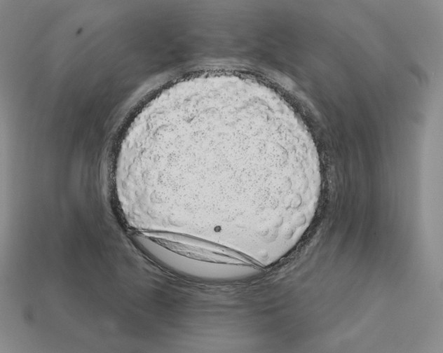 X0000112761221200910011209