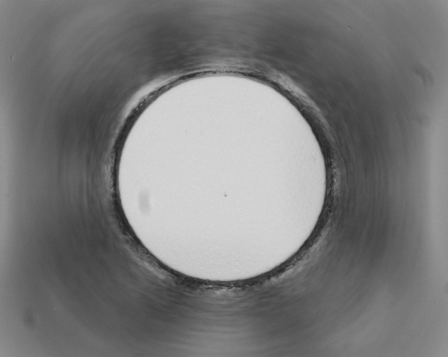 X0000112761222200910011209
