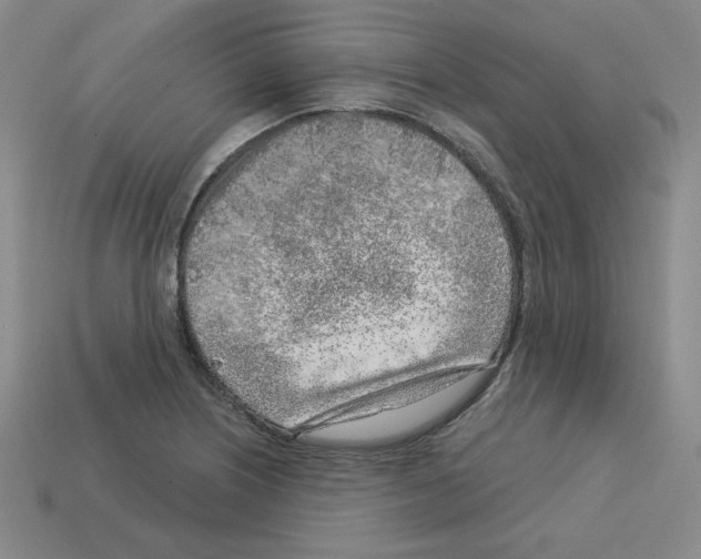 X0000112761226200910011209