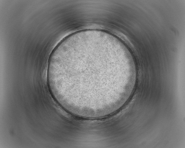 X0000112761228200910011209