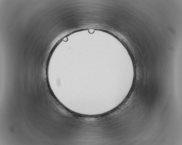 X0000112761230200910011209