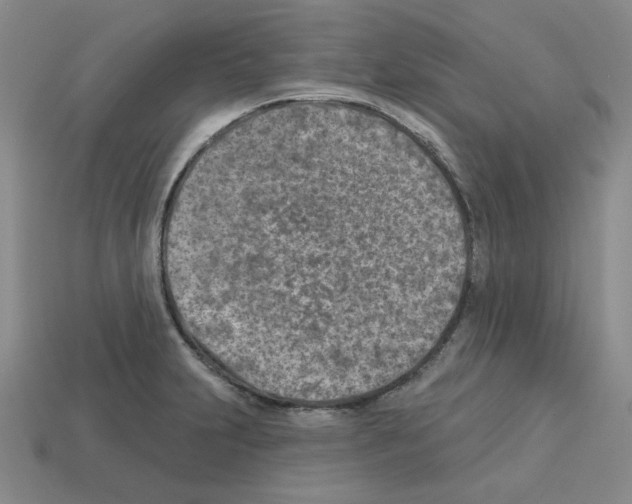 X0000112761231200910011209