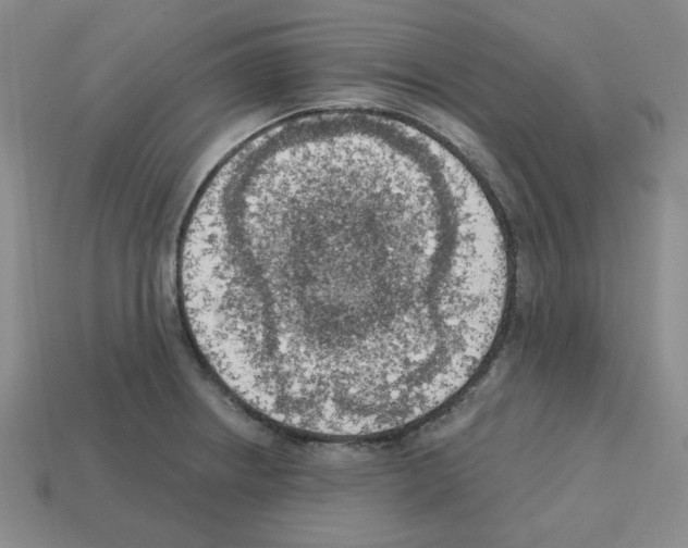 X0000112761234200910011209