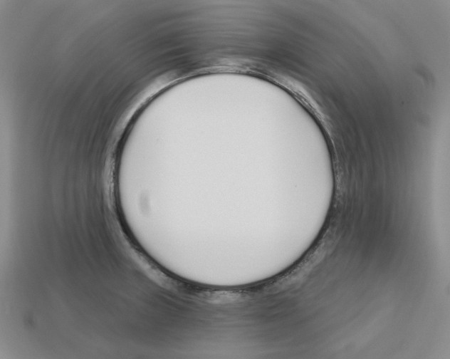 X0000112761235200910011209