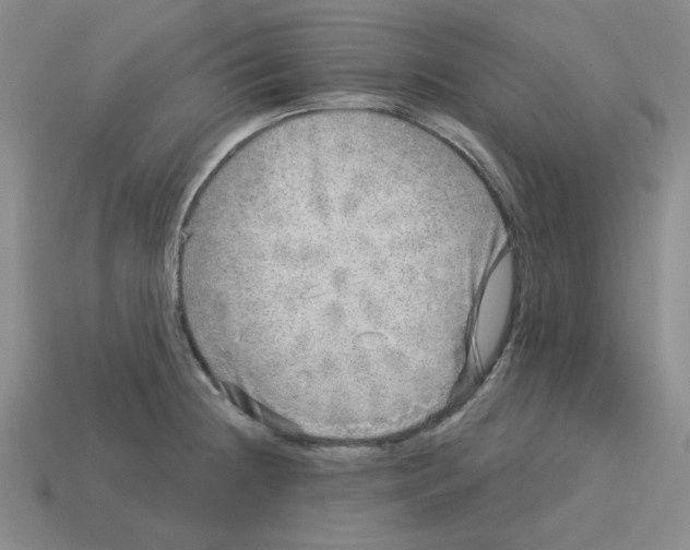 X0000112761236200910011209