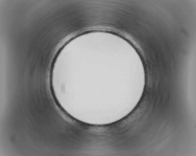X0000112761237200910011209