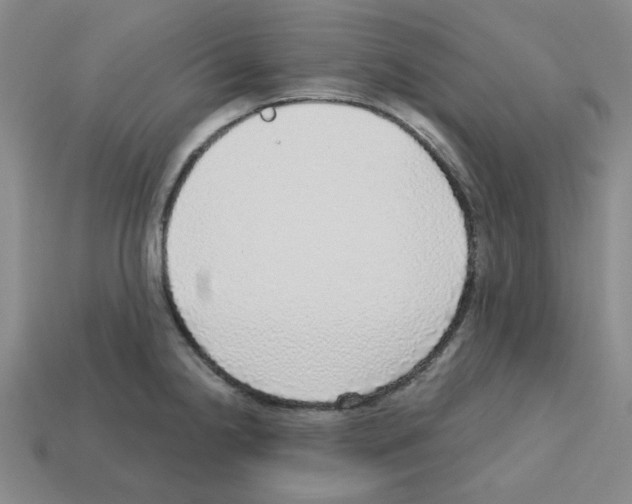 X0000112761238200910011209