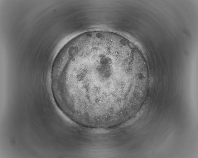 X0000112761239200910011209