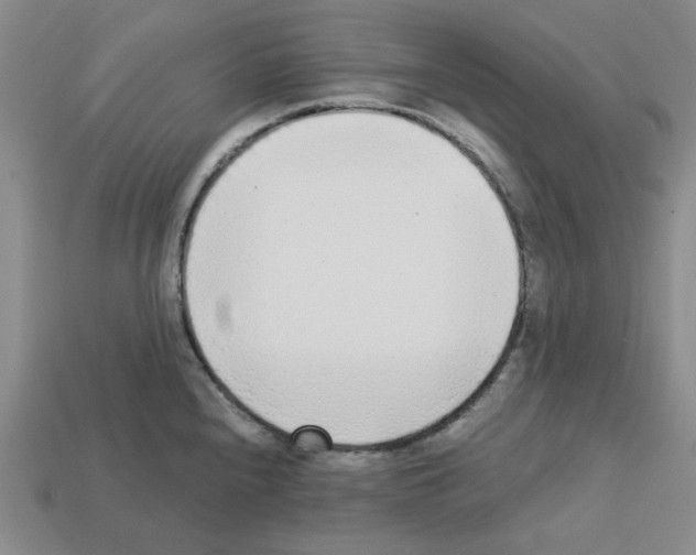 X0000112761240200910011209