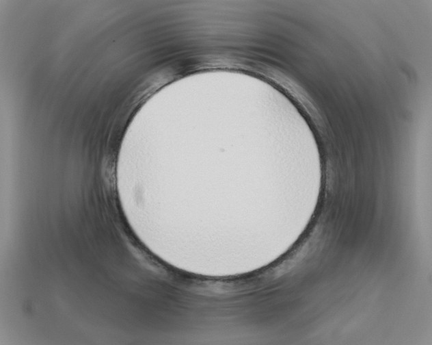 X0000112761241200910011209
