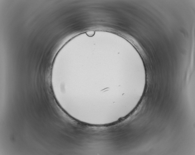 X0000112761244200910011209