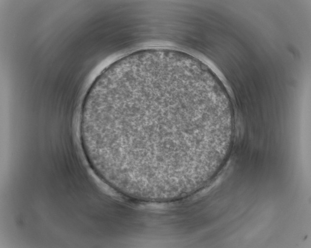 X0000112761245200910011209