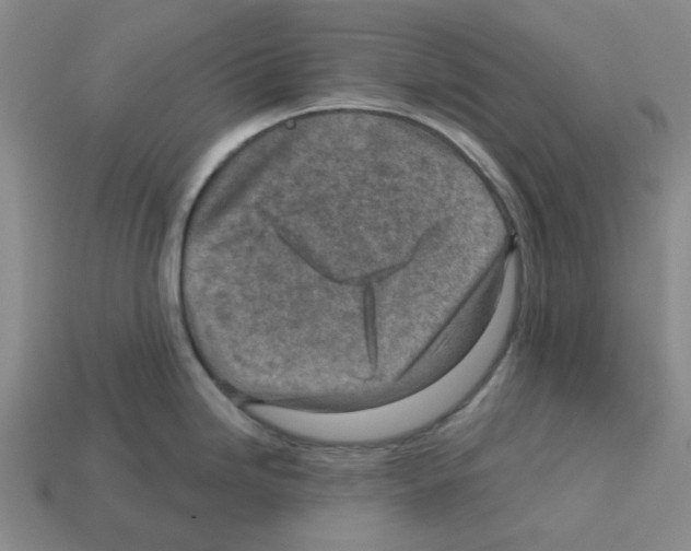 X0000112761246200910011209