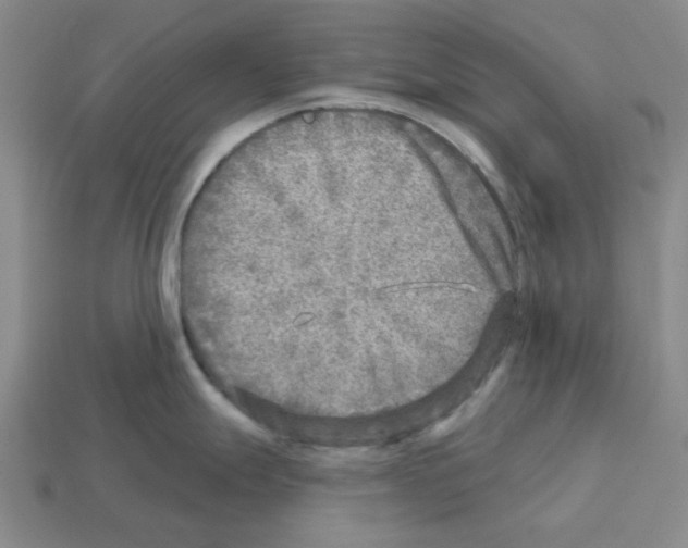 X0000112761247200910011209