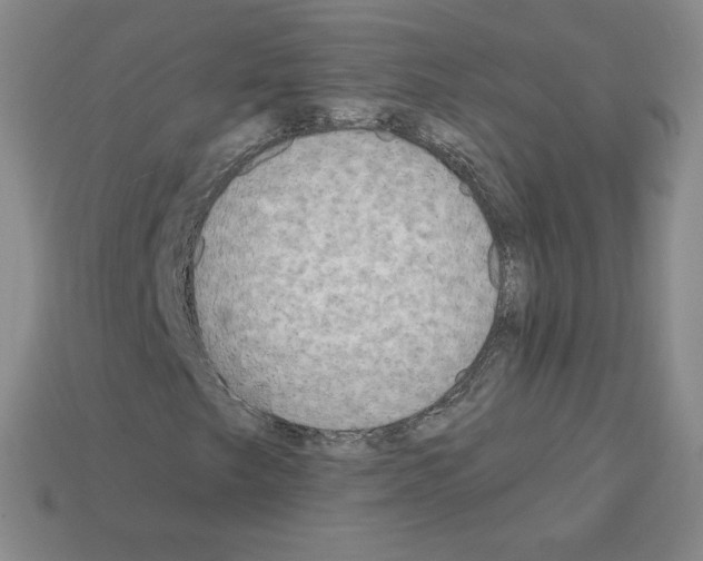 X0000112761249200910011208